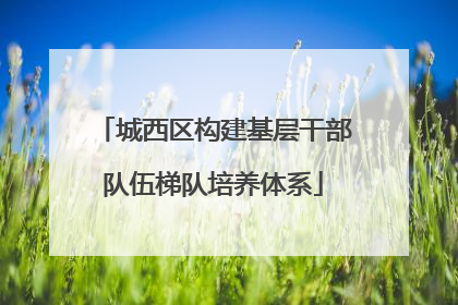 城西区构建基层干部队伍梯队培养体系