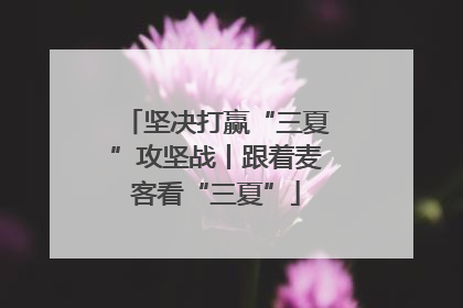 坚决打赢“三夏”攻坚战丨跟着麦客看“三夏”