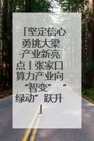 坚定信心 勇挑大梁·产业新亮点丨张家口算力产业向“智变”“绿动”跃升