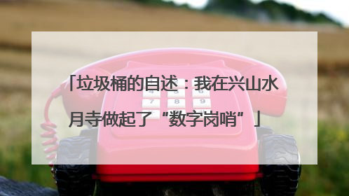 垃圾桶的自述：我在兴山水月寺做起了“数字岗哨”