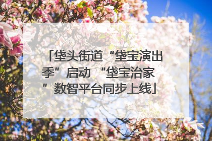 垡头街道“垡宝演出季”启动 “垡宝治家”数智平台同步上线
