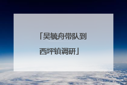 吴毓舟带队到西坪镇调研