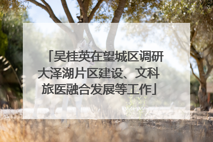 吴桂英在望城区调研大泽湖片区建设、文科旅医融合发展等工作