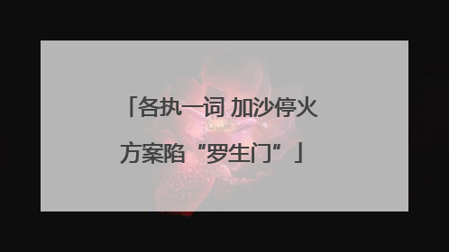 各执一词 加沙停火方案陷“罗生门”