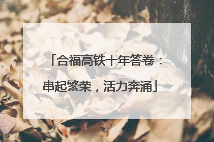 合福高铁十年答卷：串起繁荣，活力奔涌