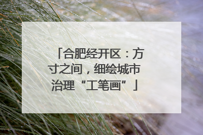 合肥经开区:方寸之间,细绘城市治理“工笔画”