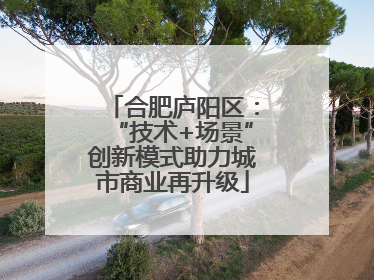 合肥庐阳区：“技术+场景”创新模式助力城市商业再升级