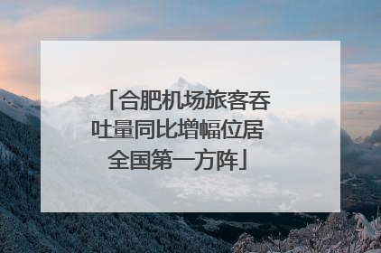 合肥机场旅客吞吐量同比增幅位居全国第一方阵