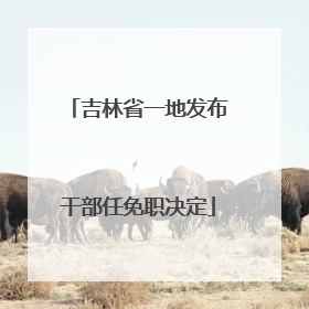 吉林省一地发布干部任免职决定