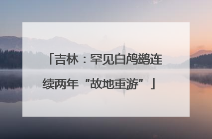 吉林：罕见白鸬鹚连续两年“故地重游”
