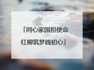 同心家国担使命 红柳筑梦践初心