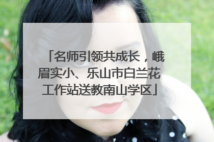名师引领共成长，峨眉实小、乐山市白兰花工作站送教南山学区
