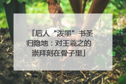 后人“泼墨”书圣归隐地：对王羲之的崇拜刻在骨子里