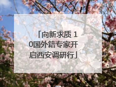 向新求质 10国外籍专家开启西安调研行