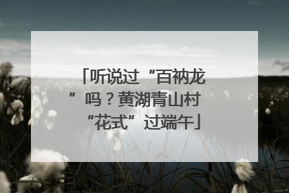 听说过“百衲龙”吗？黄湖青山村“花式”过端午
