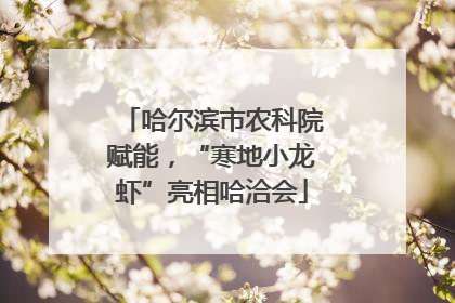 哈尔滨市农科院赋能，“寒地小龙虾”亮相哈洽会