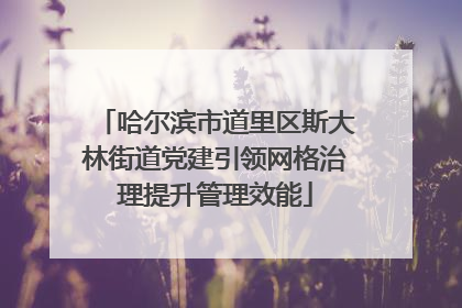 哈尔滨市道里区斯大林街道党建引领网格治理提升管理效能