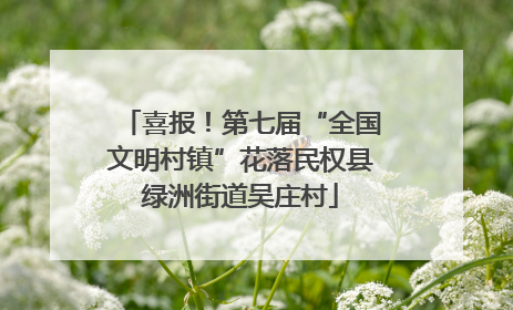 喜报！第七届“全国文明村镇”花落民权县绿洲街道吴庄村