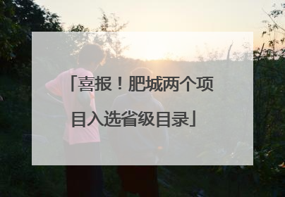 喜报！肥城两个项目入选省级目录