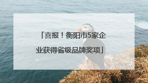 喜报！衡阳市5家企业获得省级品牌奖项