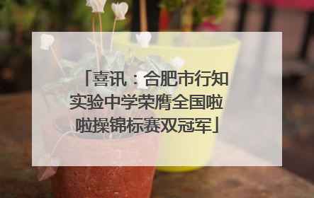 喜讯：合肥市行知实验中学荣膺全国啦啦操锦标赛双冠军