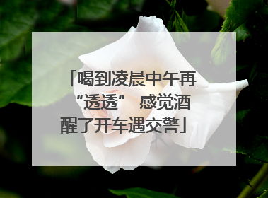 喝到凌晨中午再“透透” 感觉酒醒了开车遇交警