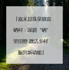 嘉禾县珠泉镇富硒村：深耕“硒”望田野 激活乡村振兴新动能