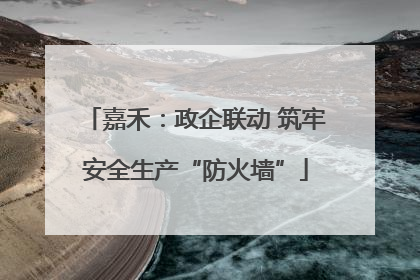 嘉禾：政企联动 筑牢安全生产“防火墙”