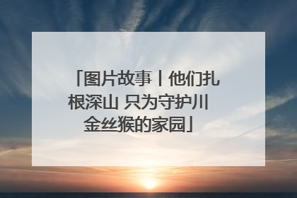 图片故事丨他们扎根深山 只为守护川金丝猴的家园