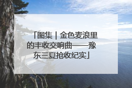 图集｜金色麦浪里的丰收交响曲——豫东三夏抢收纪实