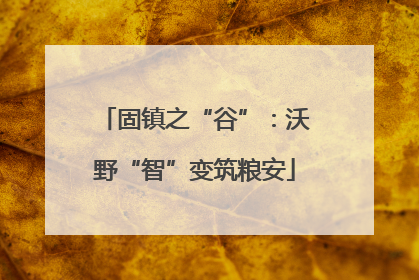 固镇之“谷”：沃野“智”变筑粮安