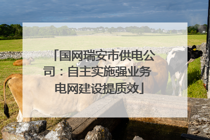 国网瑞安市供电公司：自主实施强业务 电网建设提质效