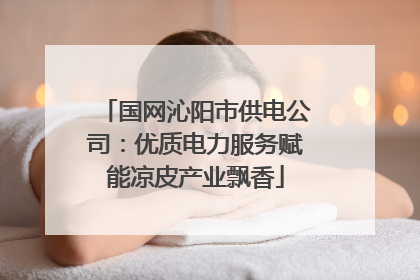国网沁阳市供电公司：优质电力服务赋能凉皮产业飘香
