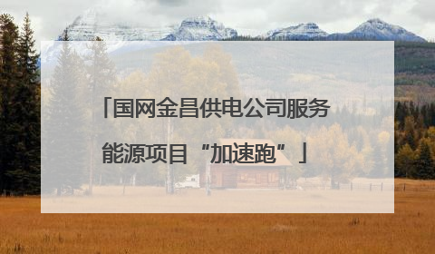 国网金昌供电公司服务能源项目“加速跑”