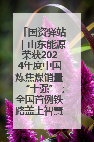 国资驿站｜山东能源荣获2024年度中国炼焦煤销量“十强”；全国首例铁路盖上智慧物流园钢结构主体完工