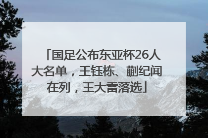 国足公布东亚杯26人大名单，王钰栋、蒯纪闻在列，王大雷落选