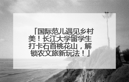 国际范儿遇见乡村美！长江大学留学生打卡石首桃花山，解锁农文旅新玩法！