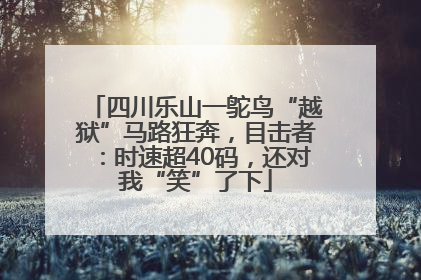 四川乐山一鸵鸟“越狱”马路狂奔，目击者：时速超40码，还对我“笑”了下