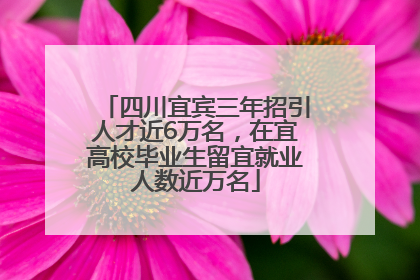 四川宜宾三年招引人才近6万名，在宜高校毕业生留宜就业人数近万名