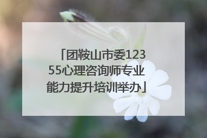 团鞍山市委12355心理咨询师专业能力提升培训举办