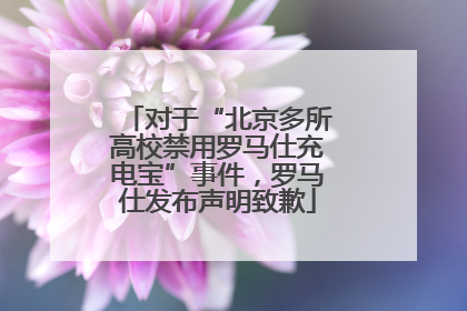 对于“北京多所高校禁用罗马仕充电宝”事件，罗马仕发布声明致歉