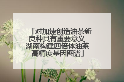对加速创造油茶新良种具有重要意义 湖南构建四倍体油茶高精度基因图谱