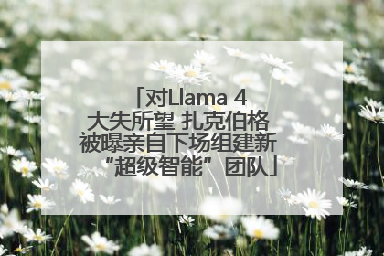 对Llama 4大失所望 扎克伯格被曝亲自下场组建新“超级智能”团队