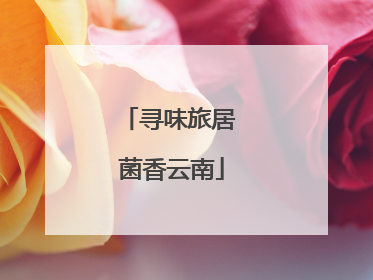 寻味旅居 菌香云南