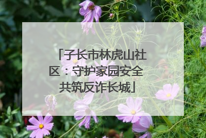 子长市林虎山社区：守护家园安全 共筑反诈长城