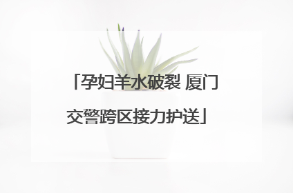 孕妇羊水破裂 厦门交警跨区接力护送