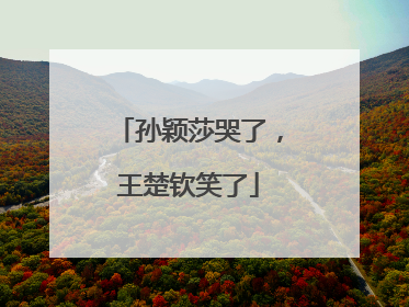 孙颖莎哭了，王楚钦笑了