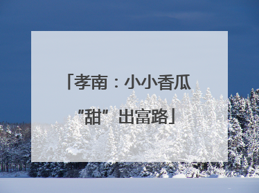 孝南：小小香瓜 “甜”出富路
