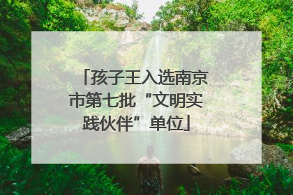 孩子王入选南京市第七批“文明实践伙伴”单位