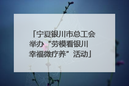 宁夏银川市总工会举办“劳模看银川 幸福微疗养”活动